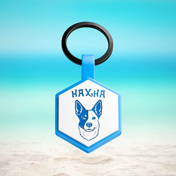 Hexágonos Luminosos (3 cm) Placa de identificación de mascotas 1