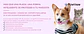 Placa inteligente con QR PAWVIEW - 100% silicona - Identifica a tu mascota - Miniatura 2
