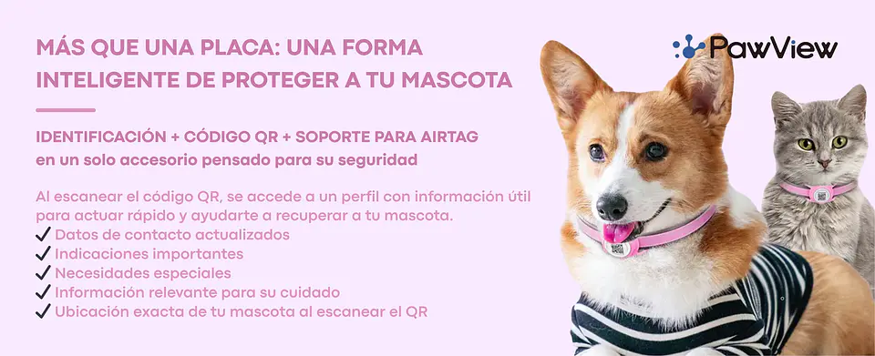 Placa inteligente con QR PAWVIEW - 100% silicona - Identifica a tu mascota 2