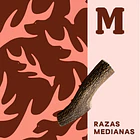 Asta de ciervo Mediana (M) Doggo - Mordedor 100% natural para perro 5