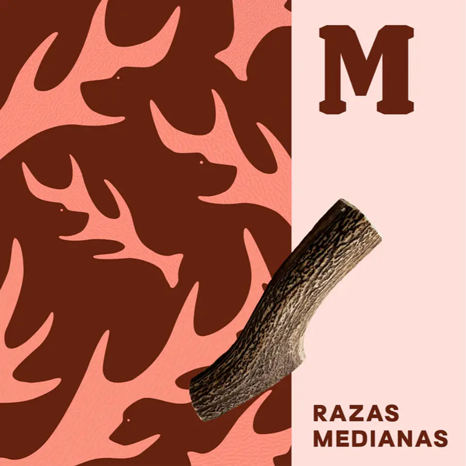 Asta de ciervo Mediana (M) Doggo - Mordedor 100% natural para perro 5