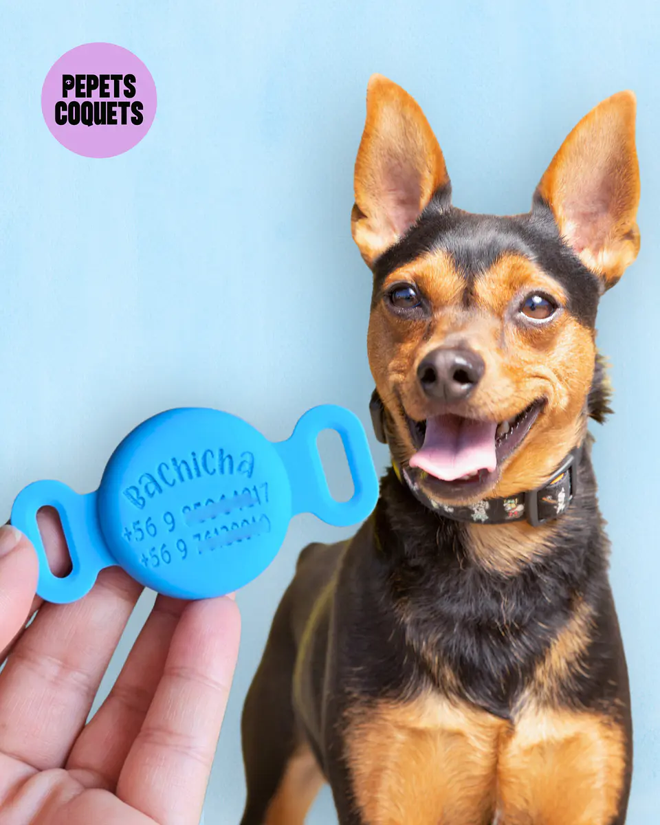Porta Airtag - LATTE (con grabado láser, identificación para mascotas) 7