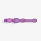 ZEECAT Collar Neopro ULTRAVIOLET accesorio para gatos - Miniatura 2