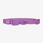 ZEECAT Collar Neopro ULTRAVIOLET accesorio para gatos - Miniatura 1