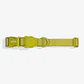 ZEEDOG Collar (L) Neopro MATCHA - Impermeable para perros - Miniatura 1