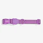 ZEEDOG Collar (L) Neopro ULTRAVIOLET - Impermeable para perros - Miniatura 1