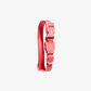 ZEEDOG Collar (L) Neopro BUBBLEGUM - Impermeable para perros - Miniatura 2