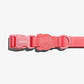ZEEDOG Collar (L) Neopro BUBBLEGUM - Impermeable para perros - Miniatura 1