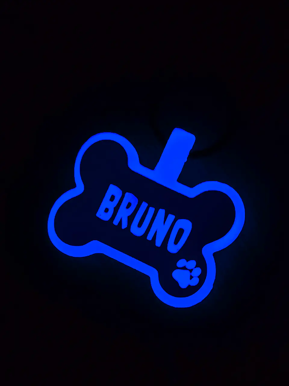 Huesito Luminoso (4 cm) Placa de identificación de mascotas 4