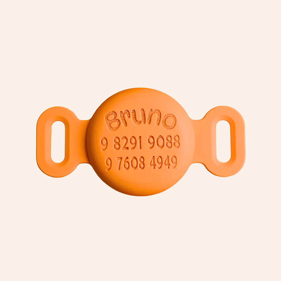 Porta Airtag (S) - ZAPOTE (con grabado láser, identificación para mascotas) 1