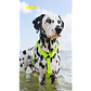 ZEEDOG Arnés Neopro Apex (S, M, L) - Tipo H - Impermeable para perros - Miniatura 4