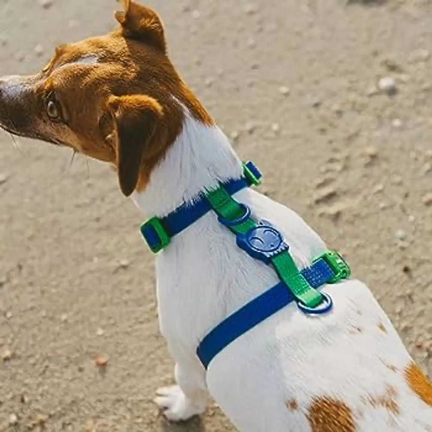 ZEEDOG Arnés Neopro Apex (S, M, L) - Tipo H - Impermeable para perros 3