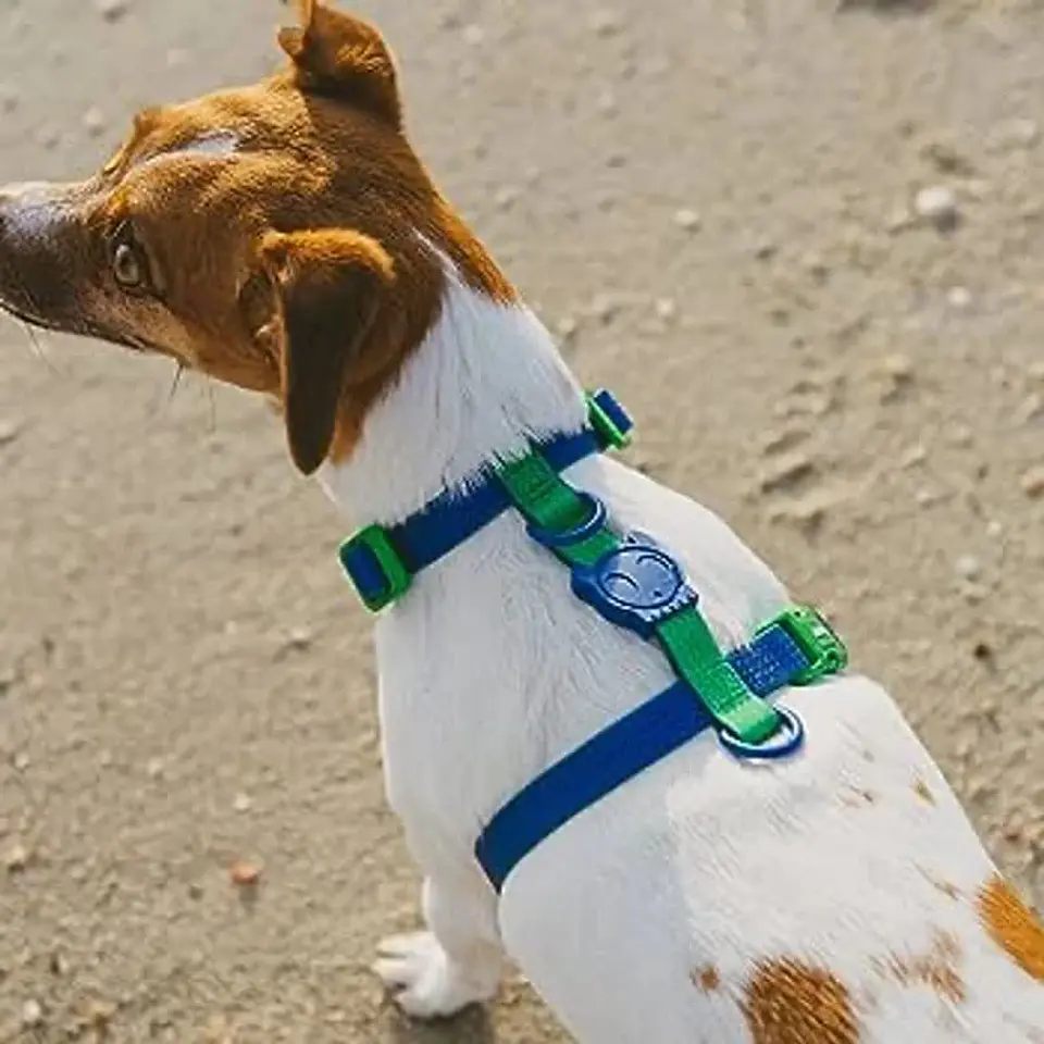 ZEEDOG Arnés Neopro Apex (S, M, L) - Tipo H - Impermeable para perros 3