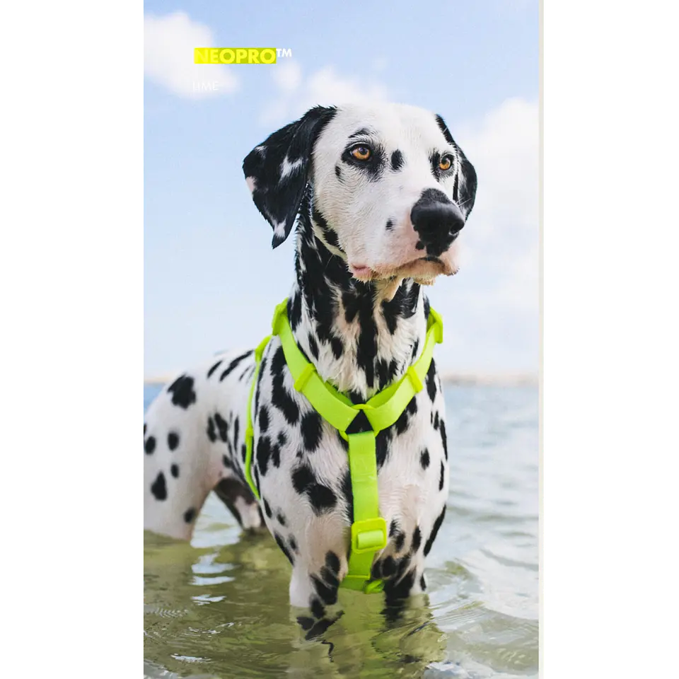 ZEEDOG Arnés Neopro Ultraviolet (S, M, L) - Tipo H - Impermeable para perros 4