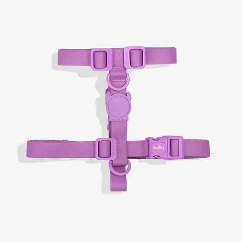 ZEEDOG Arnés Neopro Ultraviolet (S, M, L) - Tipo H - Impermeable para perros