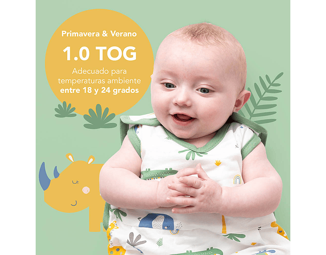 Jungle - Saquito - PRUEBA