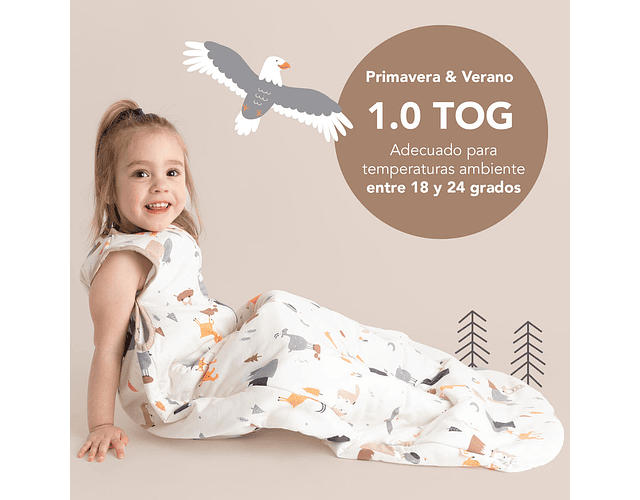 Saquito Mountain - 12-18 meses Tog 1