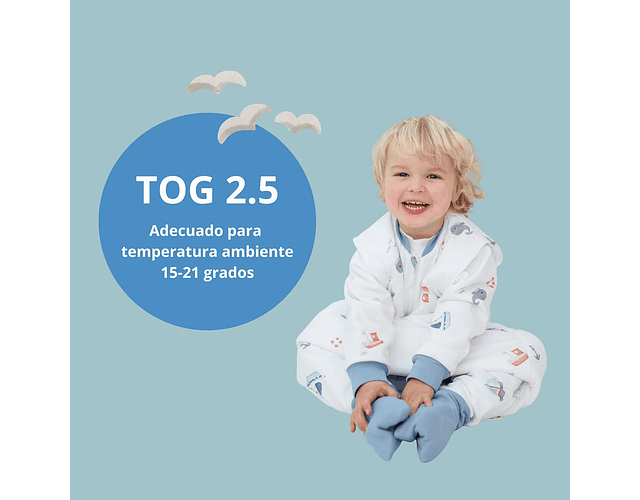 Saquito de Dormir con Pies Tog 3.5