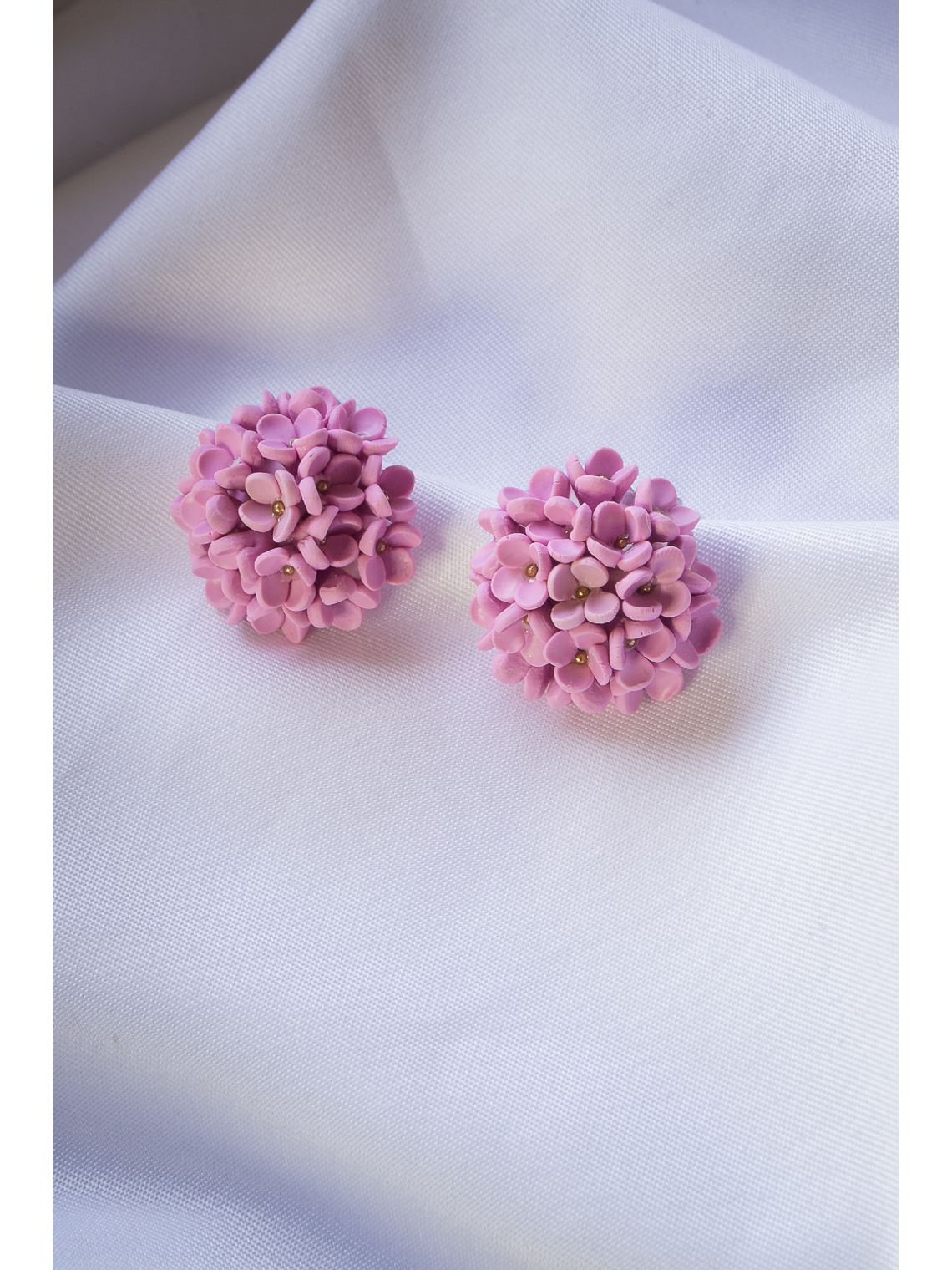 Flores hortensias  2