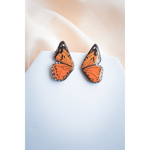 Arito alita de mariposa Vanessa Carye 