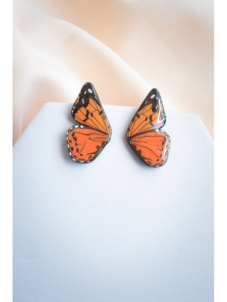 Arito alita de mariposa Vanessa Carye  1