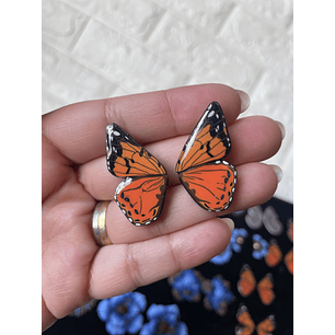 Arito alita de mariposa Vanessa Carye 