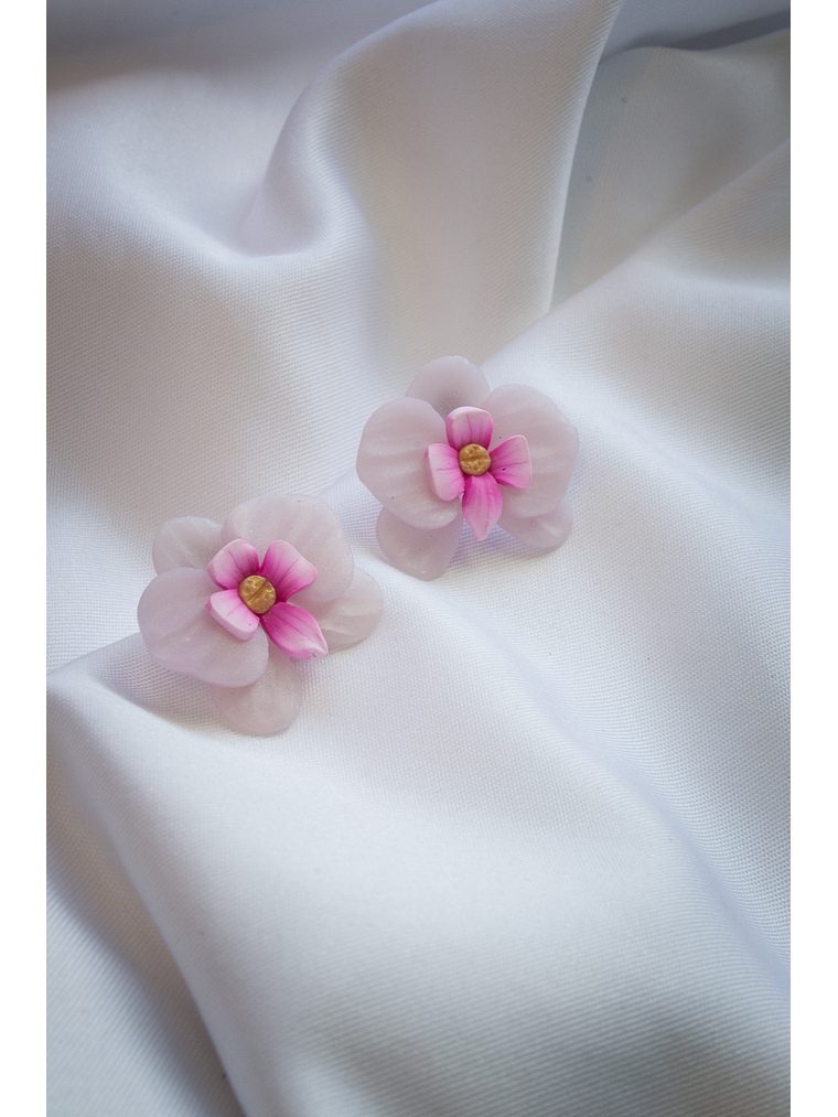 Aritos Orquídeas  2