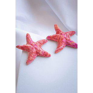 Aritos estrellas de mar