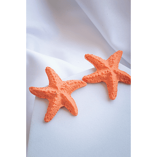 Aritos estrellas de mar
