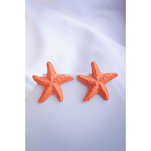 Aritos estrellas de mar