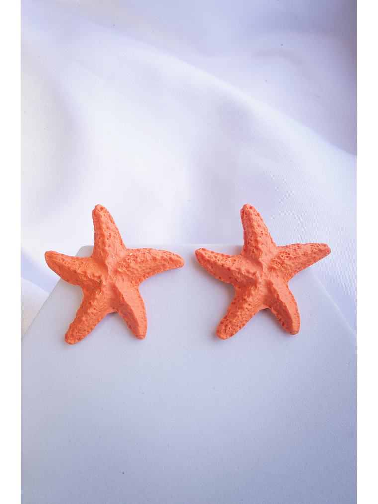 Aritos estrellas de mar 1