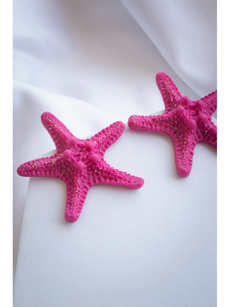 Aritos estrellas de mar 2