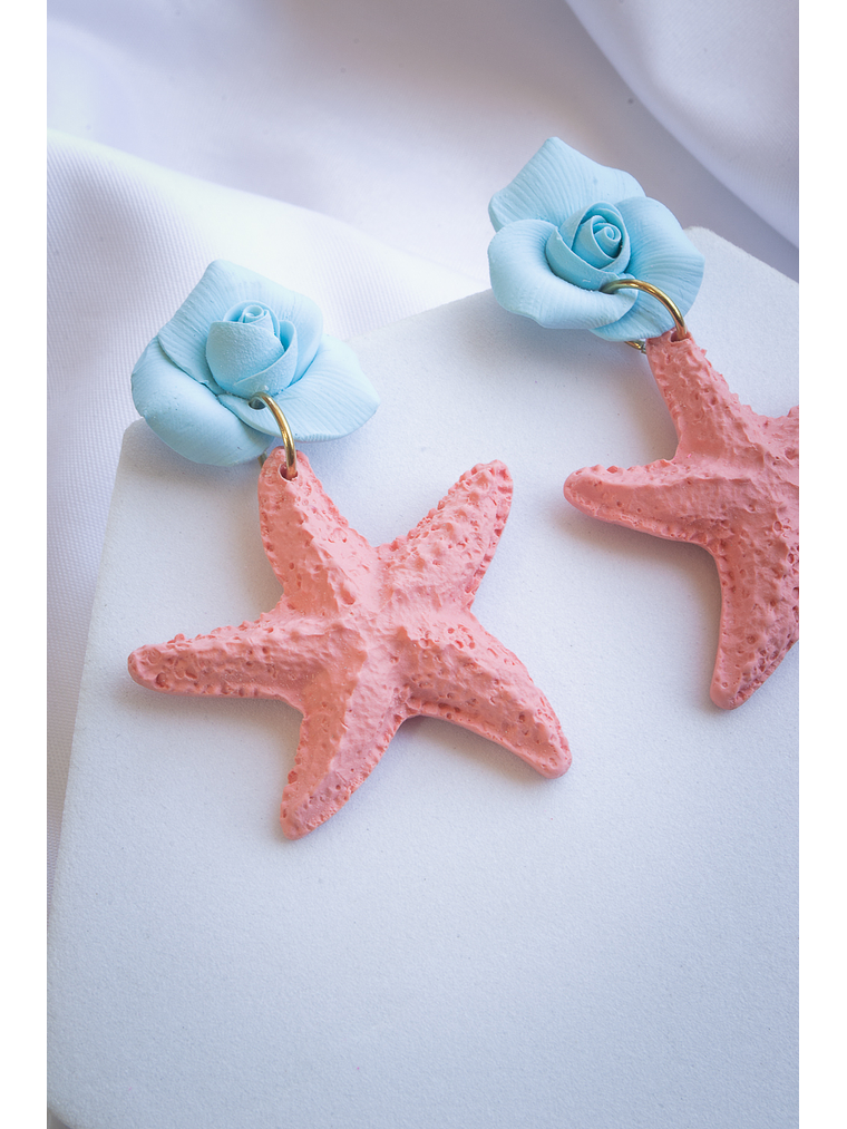 Aritos estrellas de mar  2