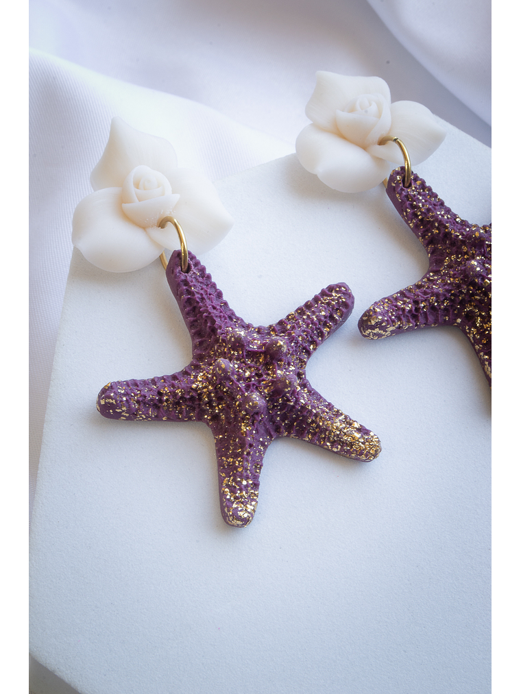 Aritos estrellas de mar  2