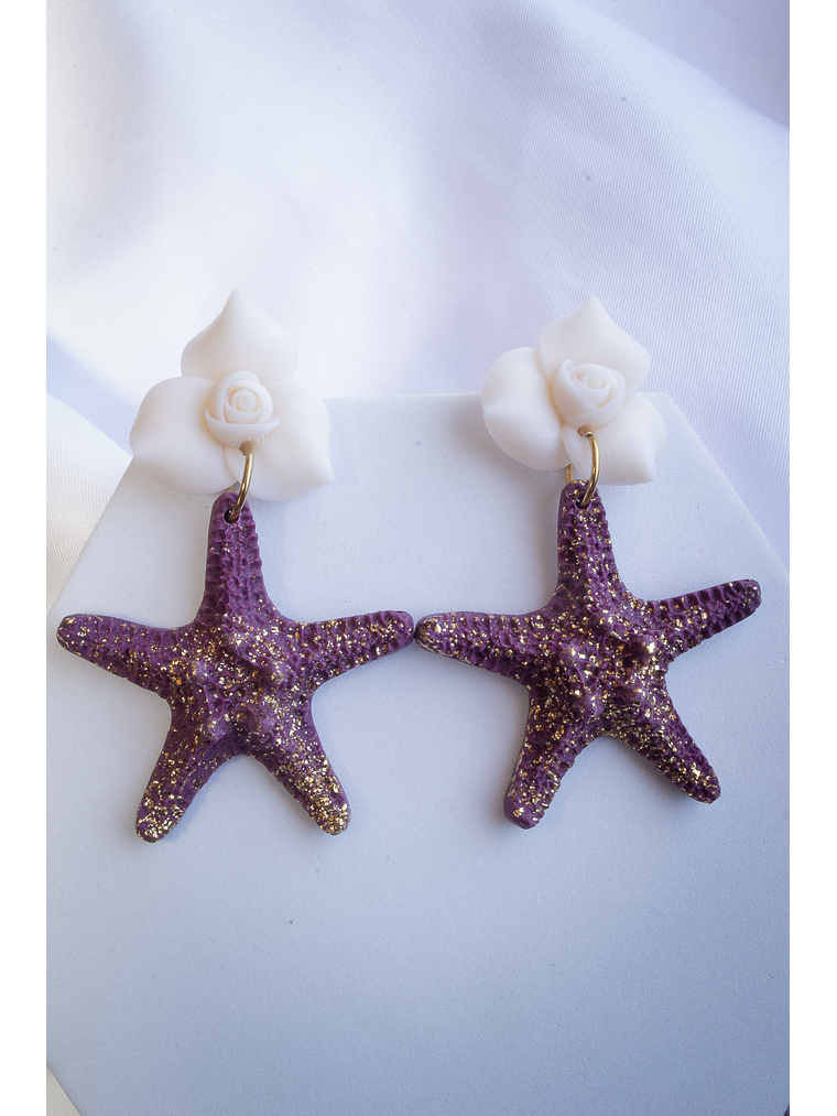 Aritos estrellas de mar  1