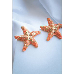 Aritos estrellas de mar