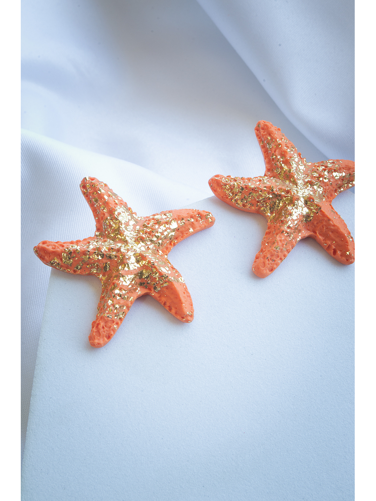 Aritos estrellas de mar 2