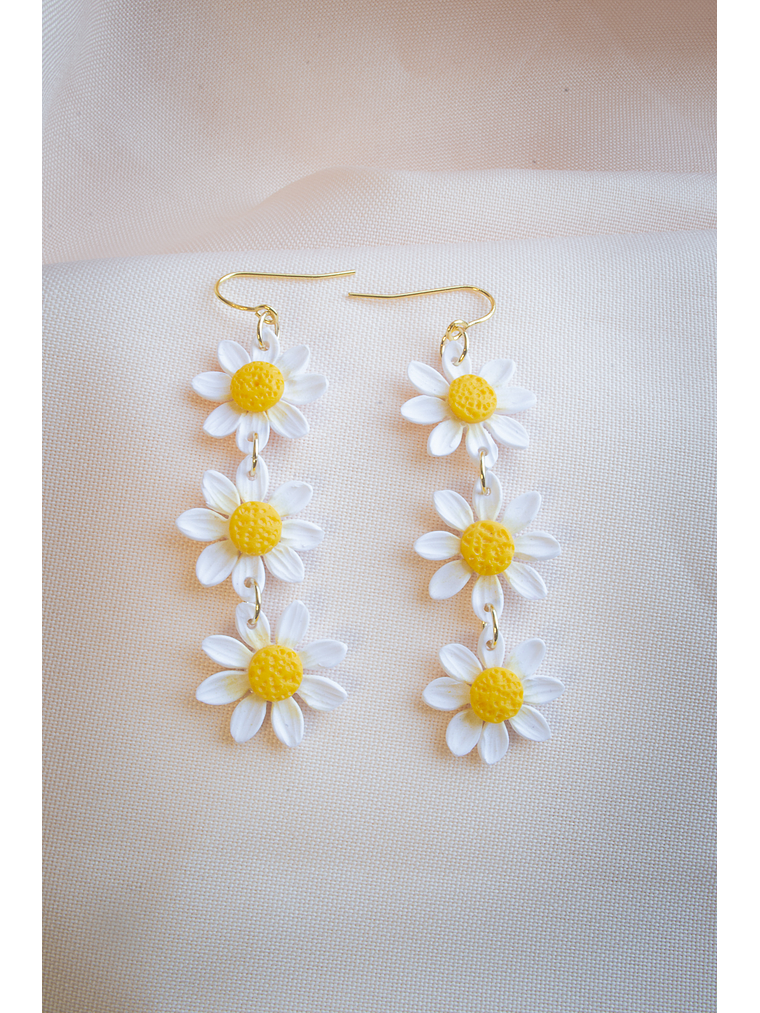 Aritos Margaritas  1