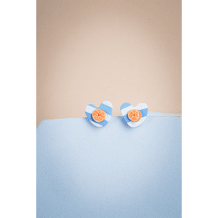 Aritos Corazones y naranjas pequeños