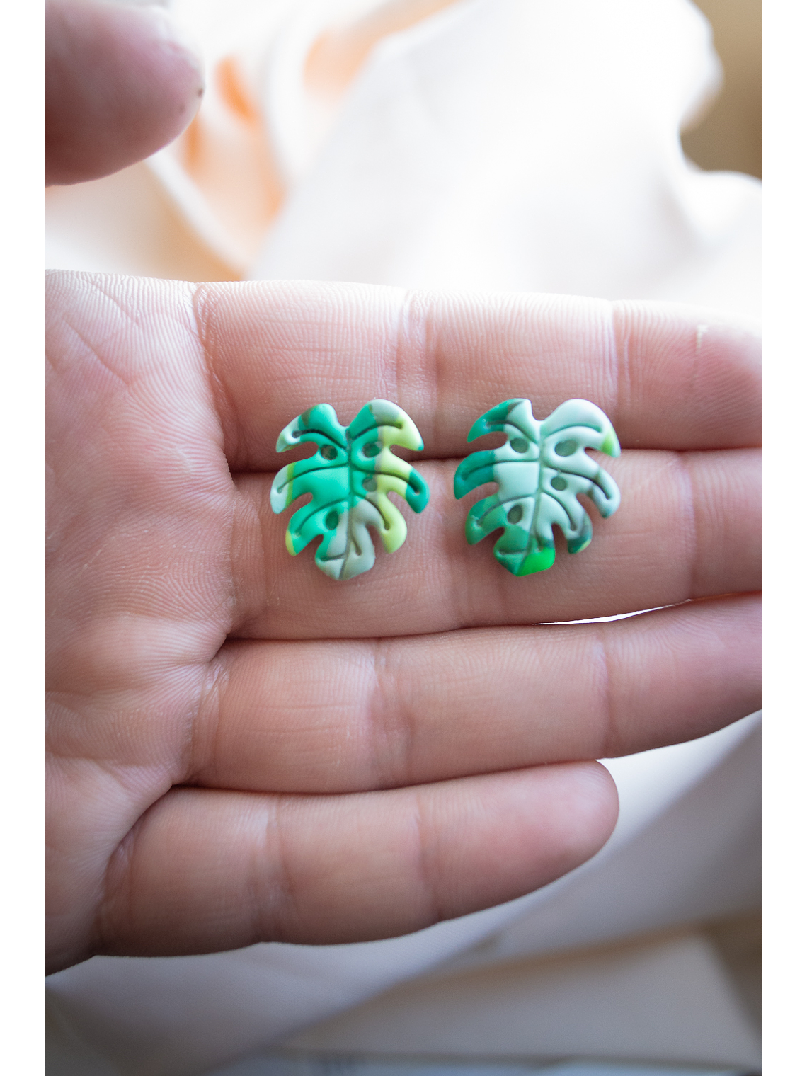 Monsteras pequeñas 2