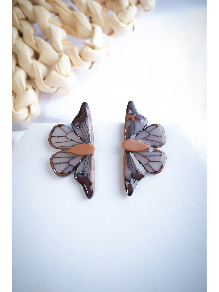 Mariposas Brillantes  1