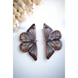 Mariposas Brillantes 