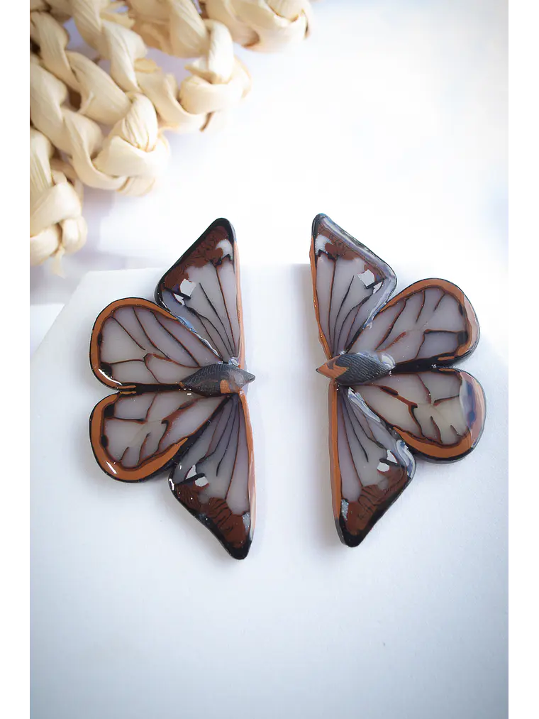 Mariposas Brillantes  1