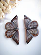 Mariposas Brillantes  - Miniatura 1