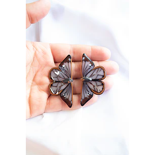 Mariposas Brillantes 