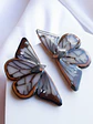 Mariposas Brillantes  - Miniatura 3