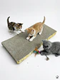 Rascador con catnip - Miniatura 1