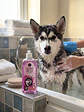 Shampoo Nene Pepino Y Aloe Para Perros 500ml - Miniatura 2