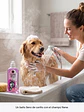 Shampoo Nene Pepino Y Aloe Para Perros 500ml - Miniatura 3