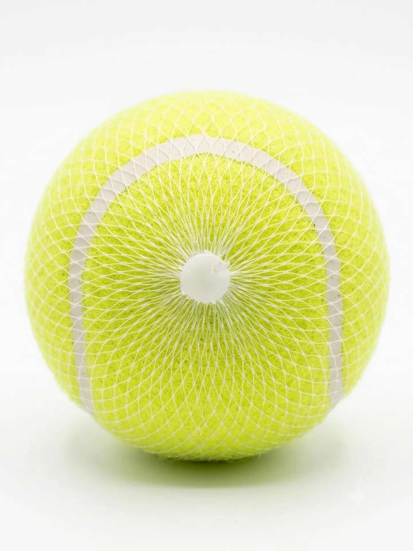 Pelota de tennis para perro, juguete 1